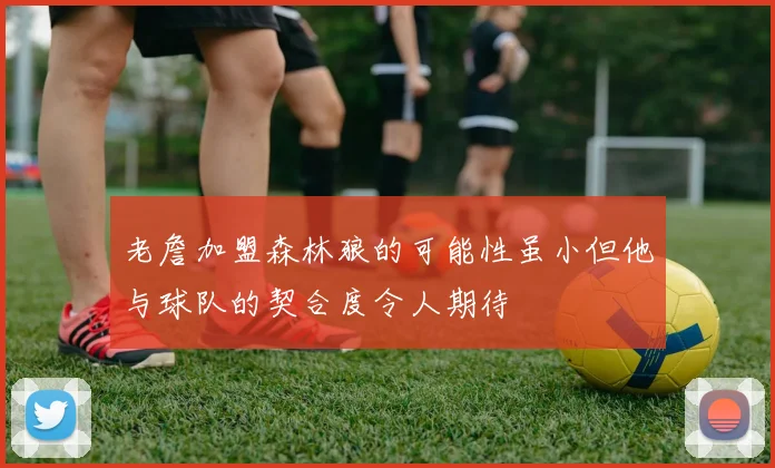 老詹加盟森林狼的可能性虽小但他与球队的契合度令人期待